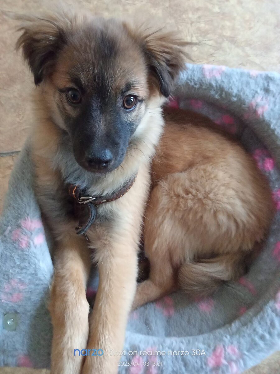 Вот такой малыш чуть не оказался на московской улице