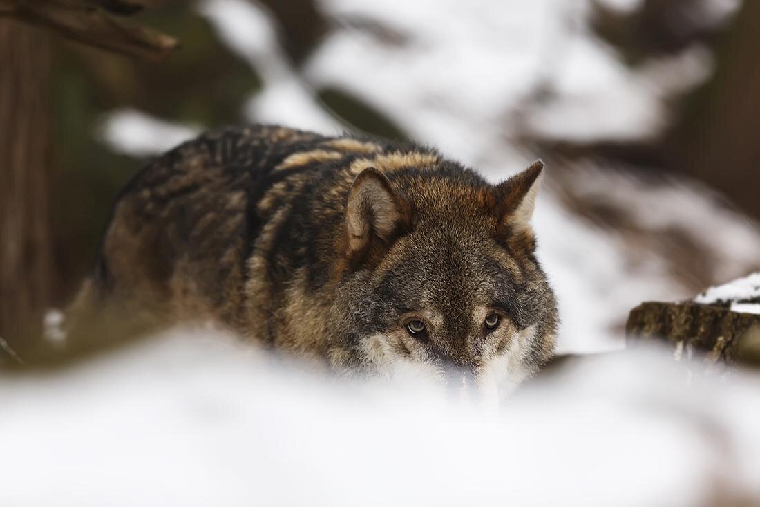 Источник: Pinterest Ru