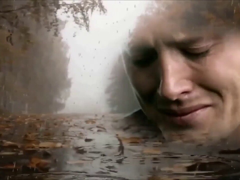 Яндекс картинки