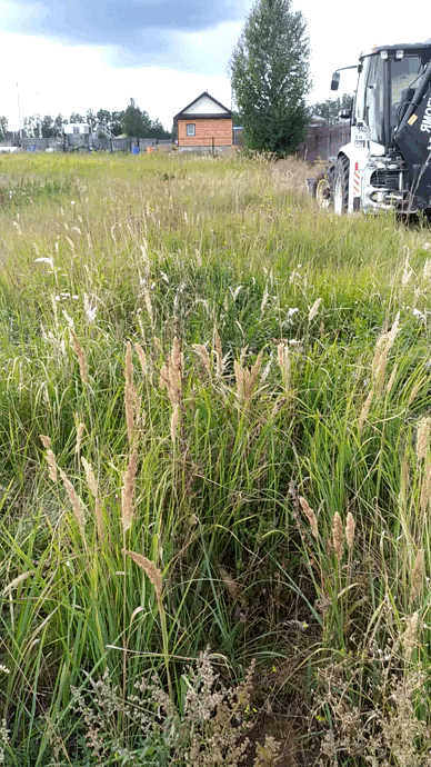 Разглаживали траву для понимания перепадов