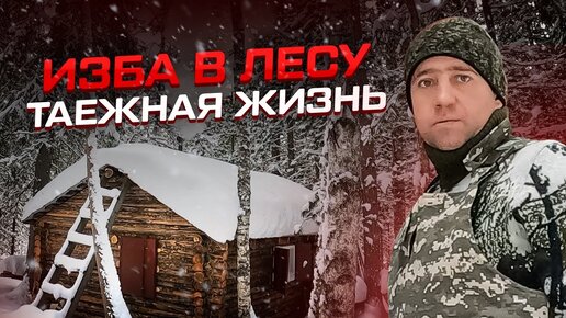 Таёжный быт! Изба в лесу! #жизньвлесу #жизньвтайге