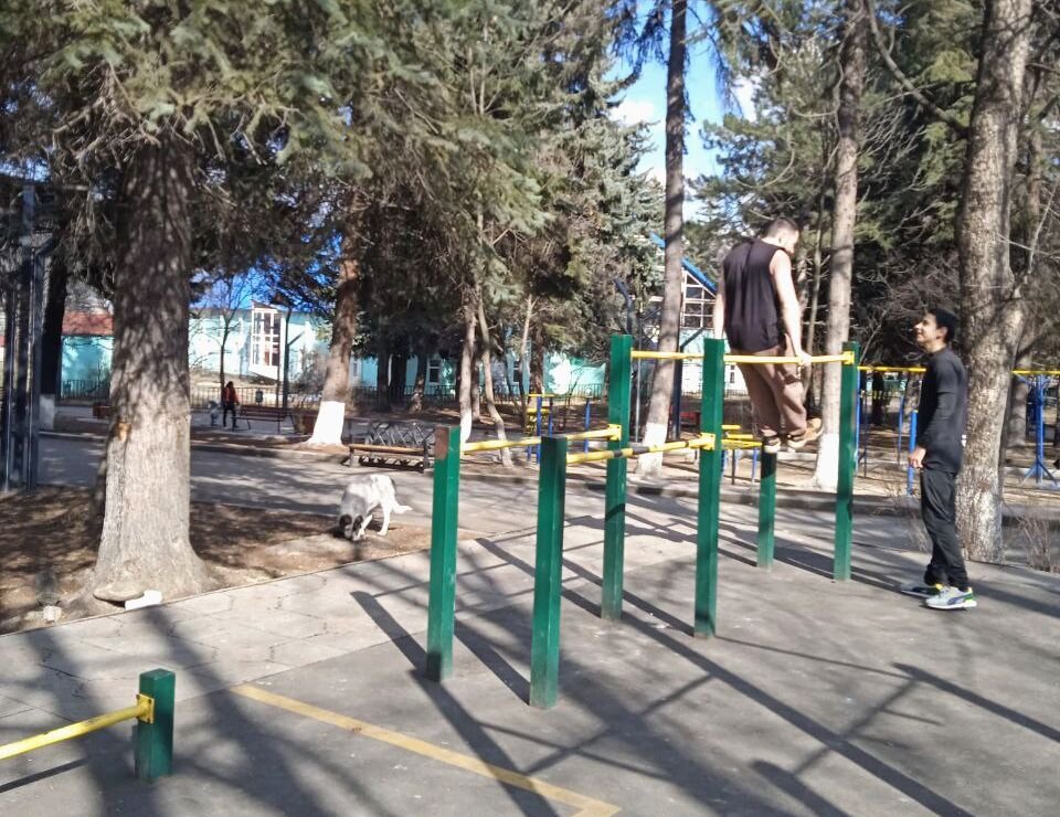 Зуммеры в парке рядом с нашим домом.