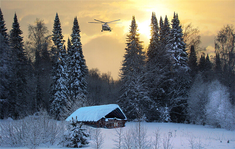 фото автора...