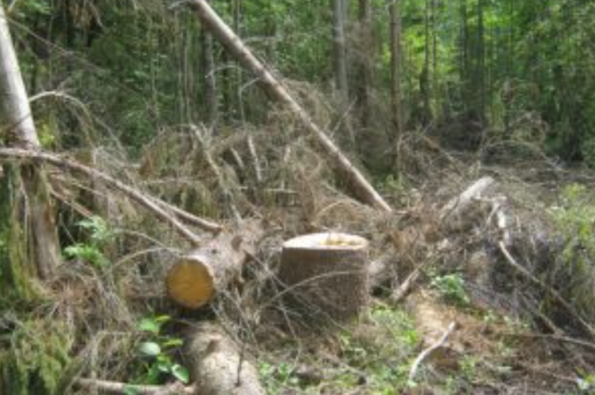    В Тверской области у собственника изъяли участок земли