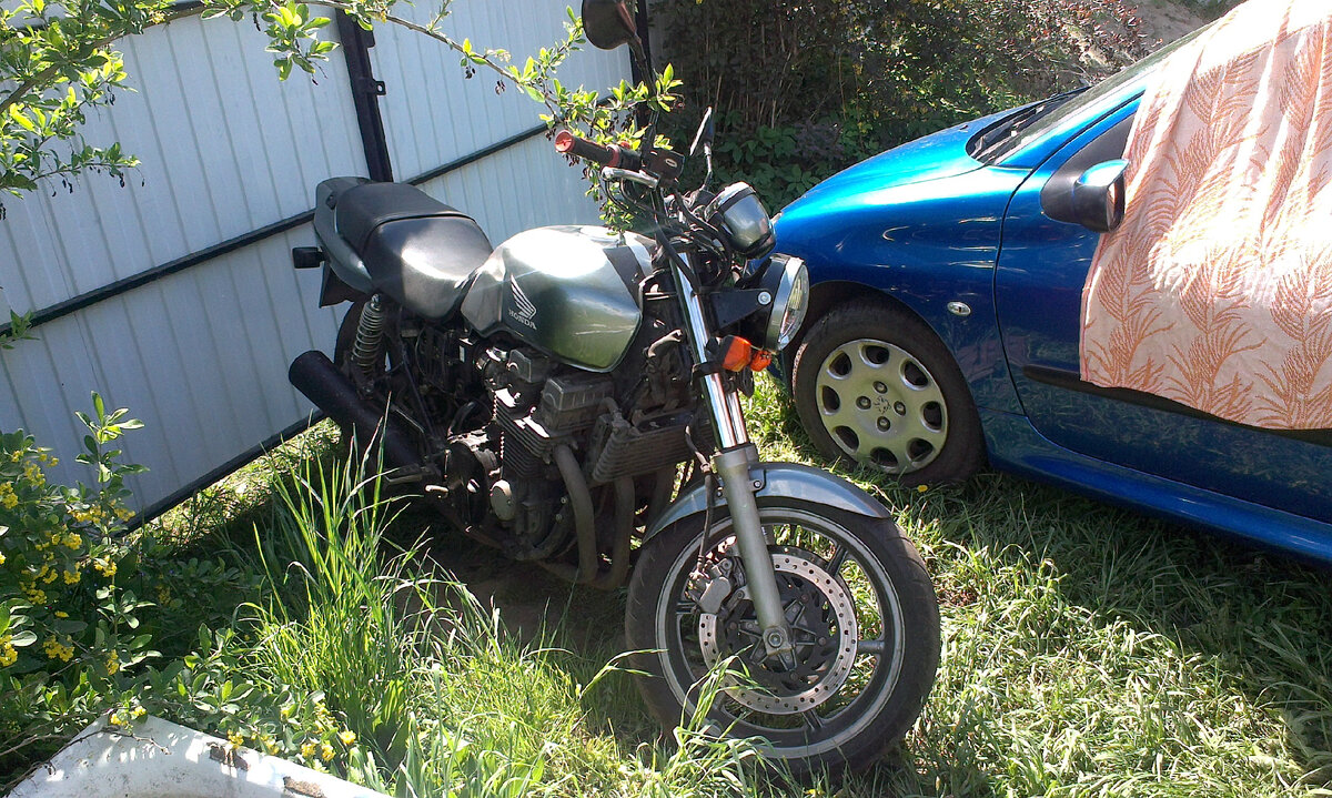 Тот самый Сибих