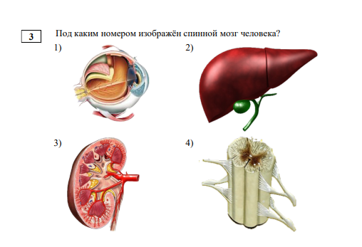 Ответы огэ. Книжка подготовка к огэ по химии 2022. Книжка огэ по математике 2023. Сборник огэ по математике 2021 ященко. Тренинг по химии 2021 варианты с ответами огэ доронькин.