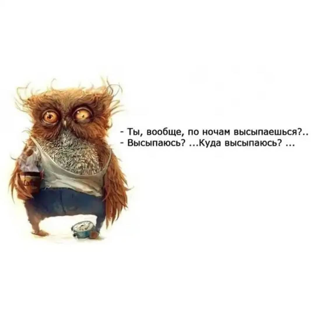 Картинка из интернета