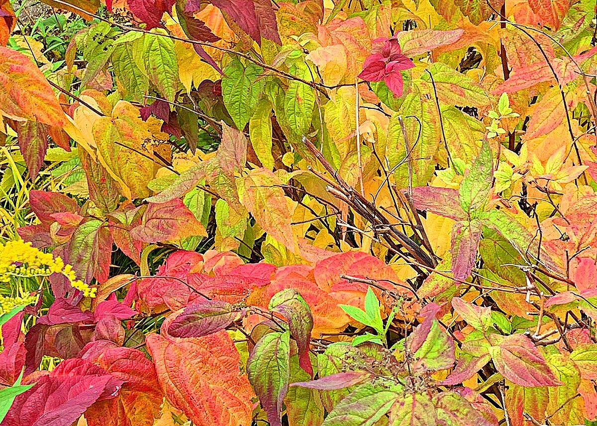 Фото принадлежит автору канала.