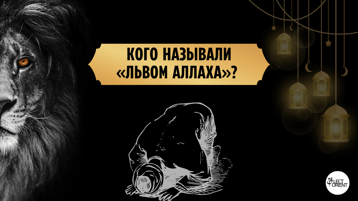 Фото сделано в редакторе Canva
