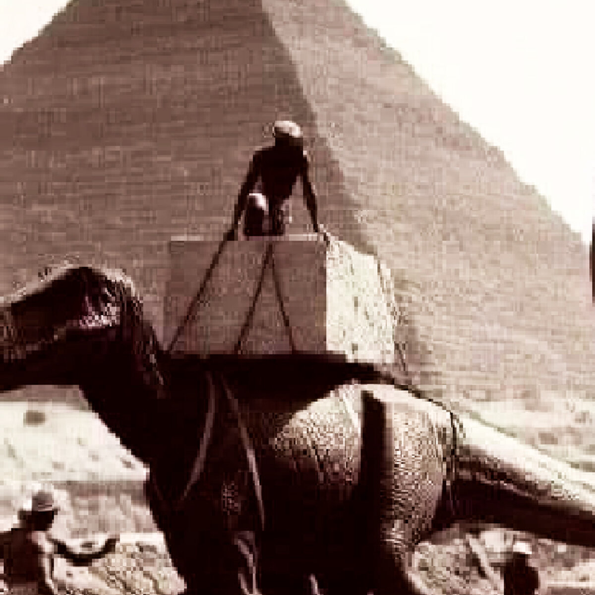 Rewriting History: The Myth of the Suffering Slaves in the Construction of Pyramids