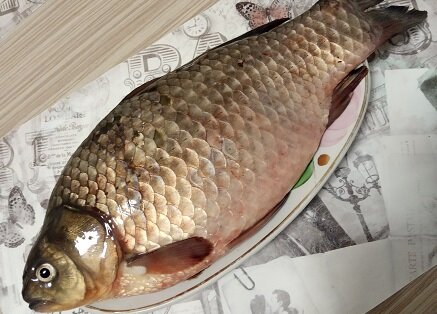 Фотография из личного архива автора