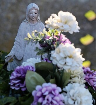 Изображение из открытого источника. Pixabay