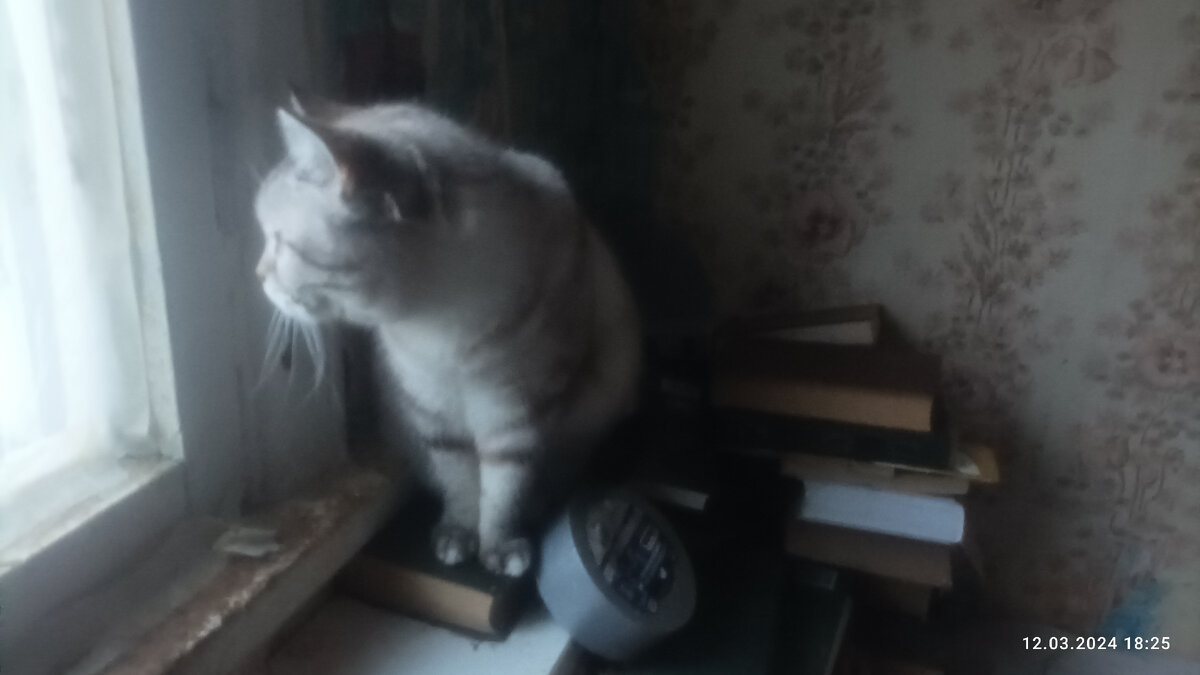 Марио. Второй дом. 