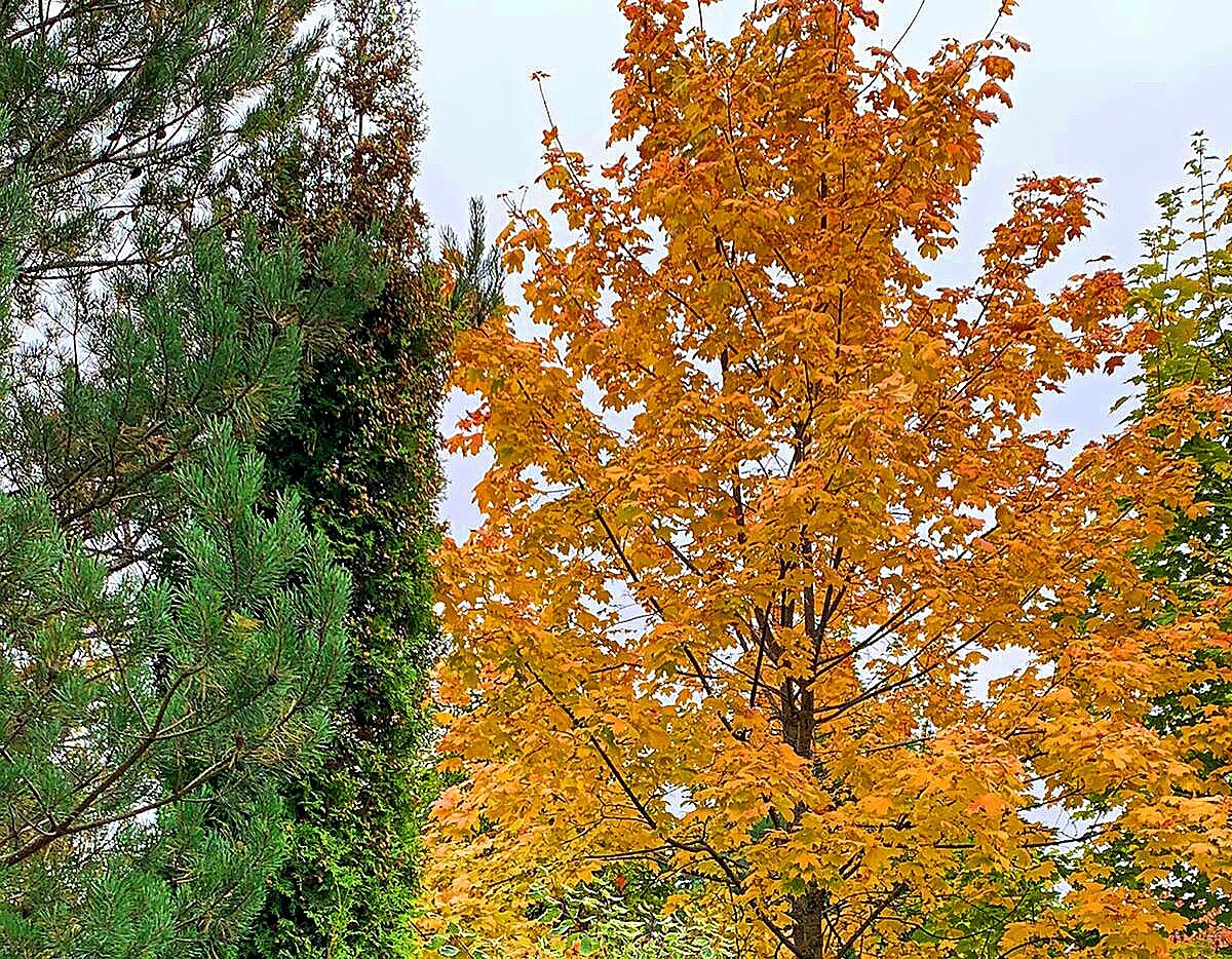 Фото принадлежит автору канала.