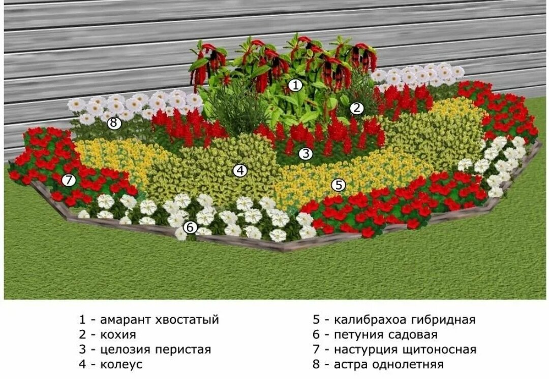 Цветоводство для начинающих: ваш путеводитель по созданию идеального  цветника