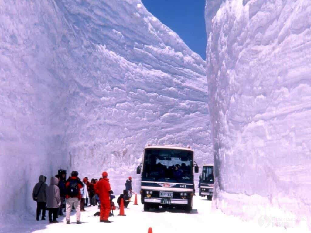 90-километровая дорога Татэяма Куробэ (Tateyama Kurobe) – это уникальный и завораживающий альпийский маршрут на Севере Японских Альп, который становится наиболее оживленным в весенний период благодаря наплыву туристов. Множество людей ежегодно в апреле, когда заканчиваются снегопады, направляются в японские Альпы, дабы посмотреть на снежные стены высотой 20-и метровой высоты, которые возвышаются с обеих сторон автодороги. Снегоуборочной технике требуется не одна неделя, чтобы расчистить коридор для прохода транспорта после зимы.