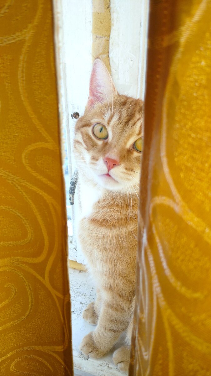 Личное  фото. 