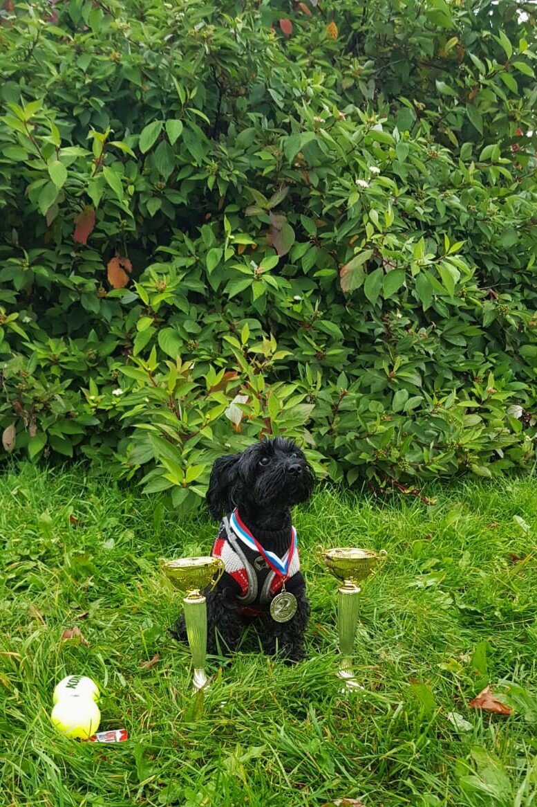 Иза- победитель