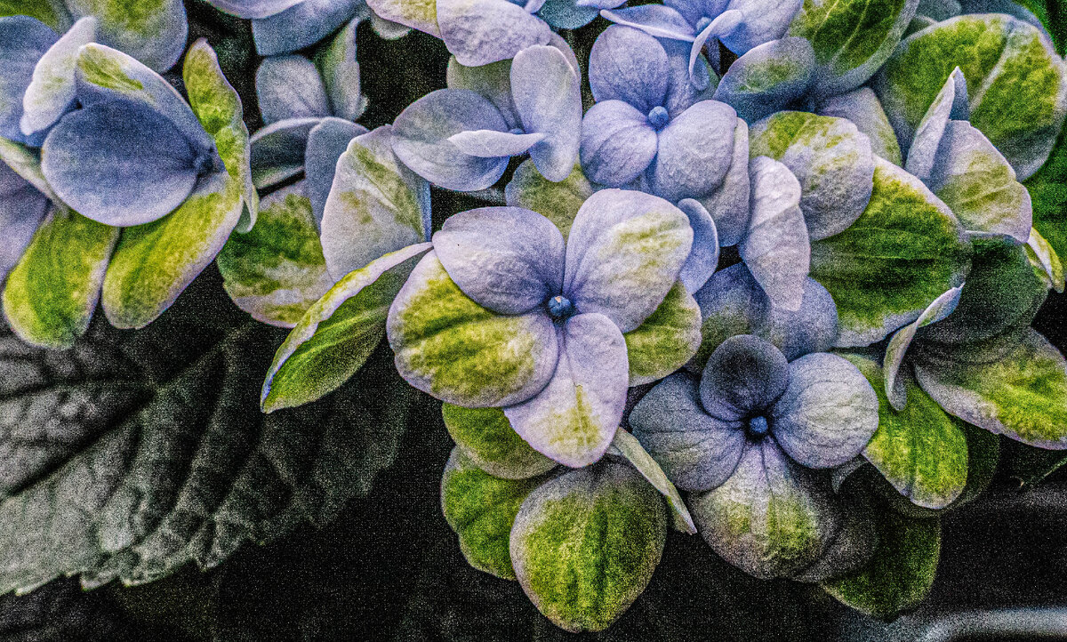 "Очень зернистое изображение", Александр Колонский 2024 год