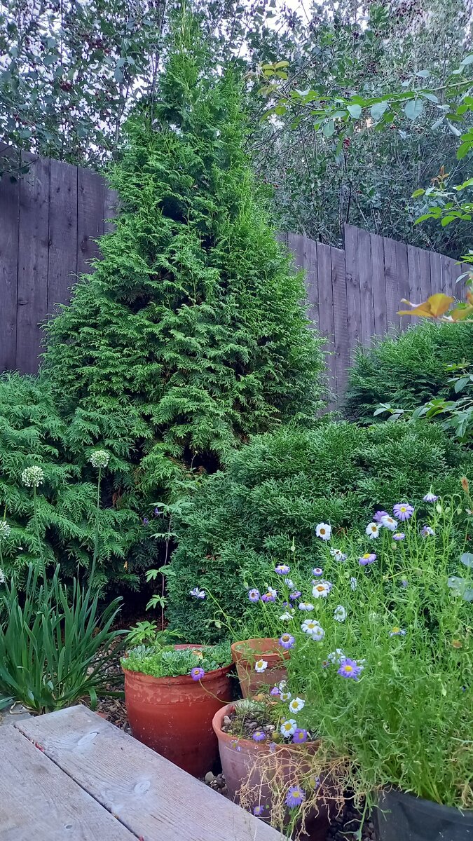 2. В галерее 3 фото, листайте