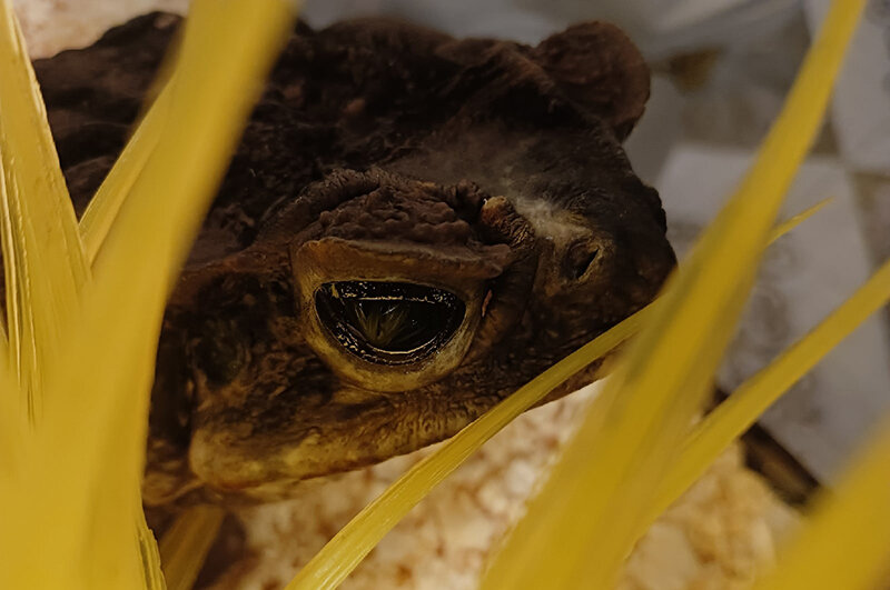    Фото из личного архива Сергея Балаева