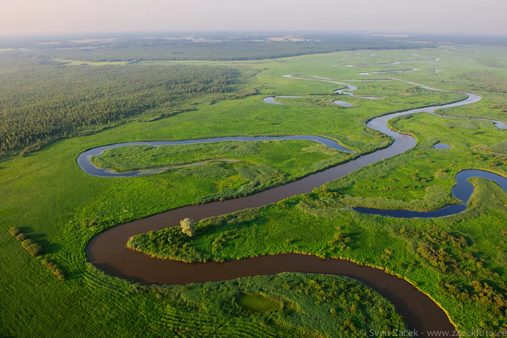 Река Эмайыги. Фото из открытых источников Яндекс.Картинки
