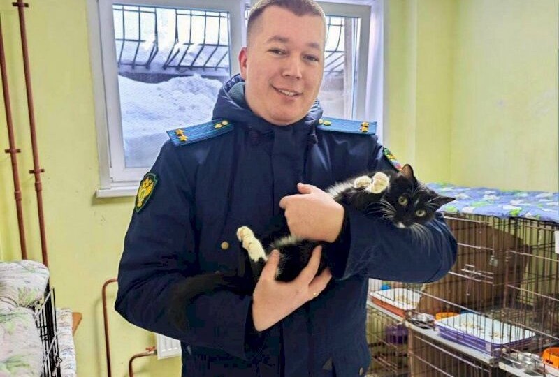 Памяти Твикса: уральские железнодорожники спасли брошенную в поезде кошку