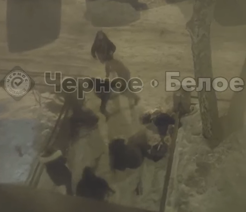 Участники ночного мордобоя в Магнитогорске не имеют претензий друг к другу