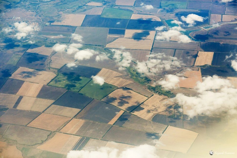 Фото : Николай Казаков. 