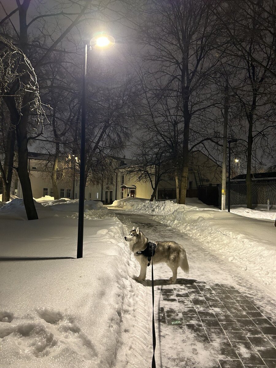 А это очень хороший мальчик.