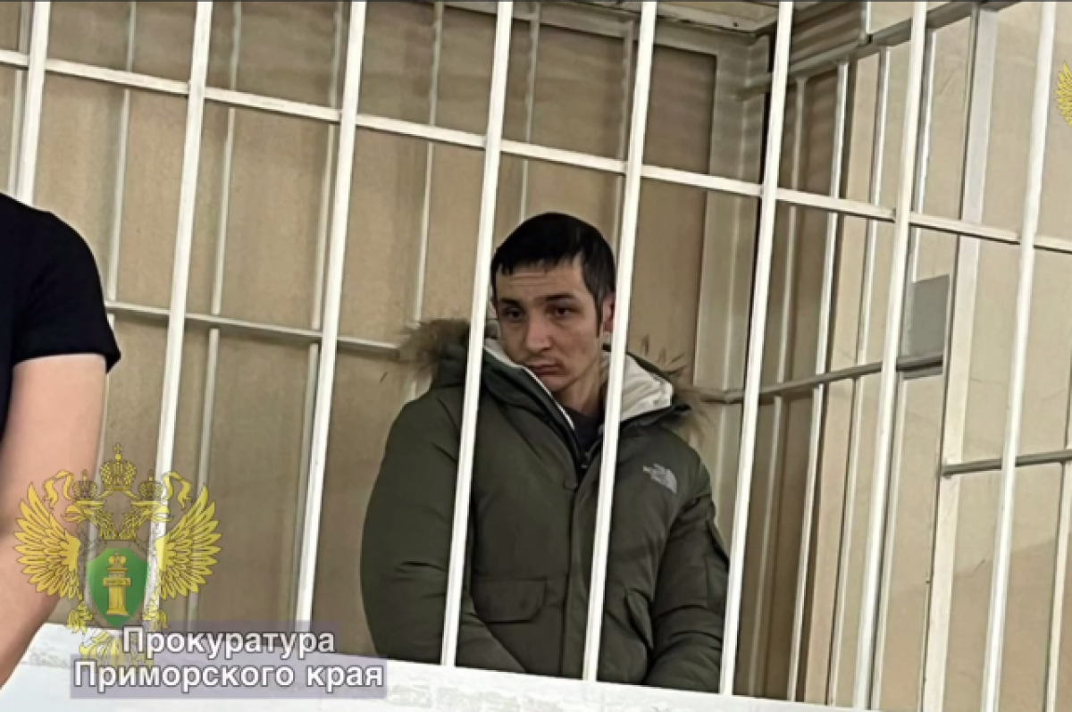    Завязавший драку мигрант-водитель пойдёт под суд за хулиганство в Приморье