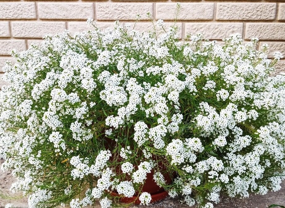В контейнерной посадке