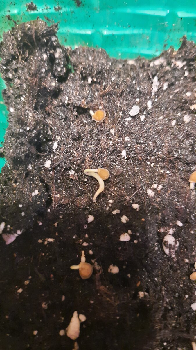 В процессе посадки)