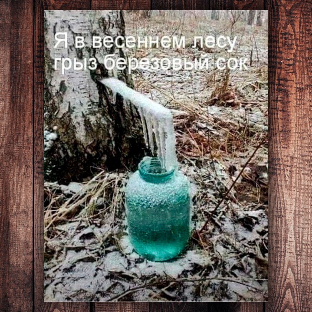 Фото с просторов интернета 