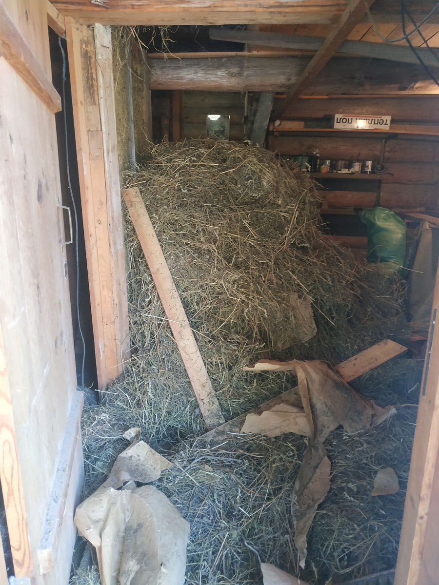 Сена было много и каждый вдох этой пыли сопровождался приступом чихания..