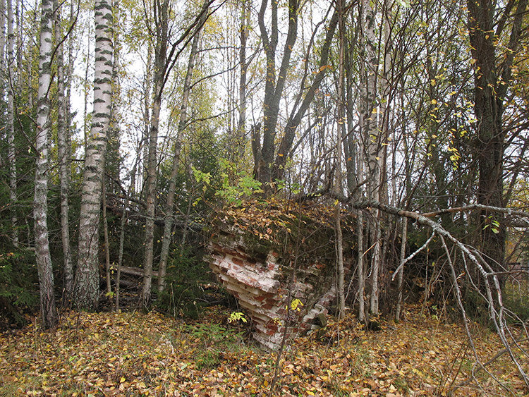 Развалины Казанской церкви. Фото 2009 г.