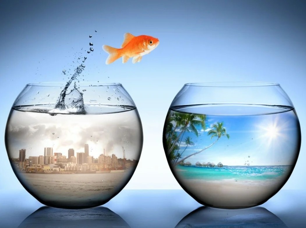 
Каждая перемена – это шанс для нас стать лучше, сильнее, мудрее. Они приходят к нам не случайно, а как ответ на наши собственные молитвы о перемене, о росте, о преображении. Поэтому не бойтесь перемен. Примите их с открытым сердцем и умом. Дайте себе разрешение на то, чтобы быть уязвимым, быть несовершенным, быть человеком. Позвольте себе почувствовать боль, радость, страх, надежду – все то, что делает нас живыми.

Ведь именно в переменах заключается вся прелесть жизни. Они делают нас сильнее, мудрее, более человечными. Именно благодаря им мы можем раскрыть свой истинный потенциал и стать тем, кем мы действительно должны быть.

Так что давайте встретим каждую перемену с открытыми объятиями и готовностью принять её уроки. Потому что только так мы сможем пройти через них с достоинством и выйти победителями из этой борьбы за свою собственную жизнь.