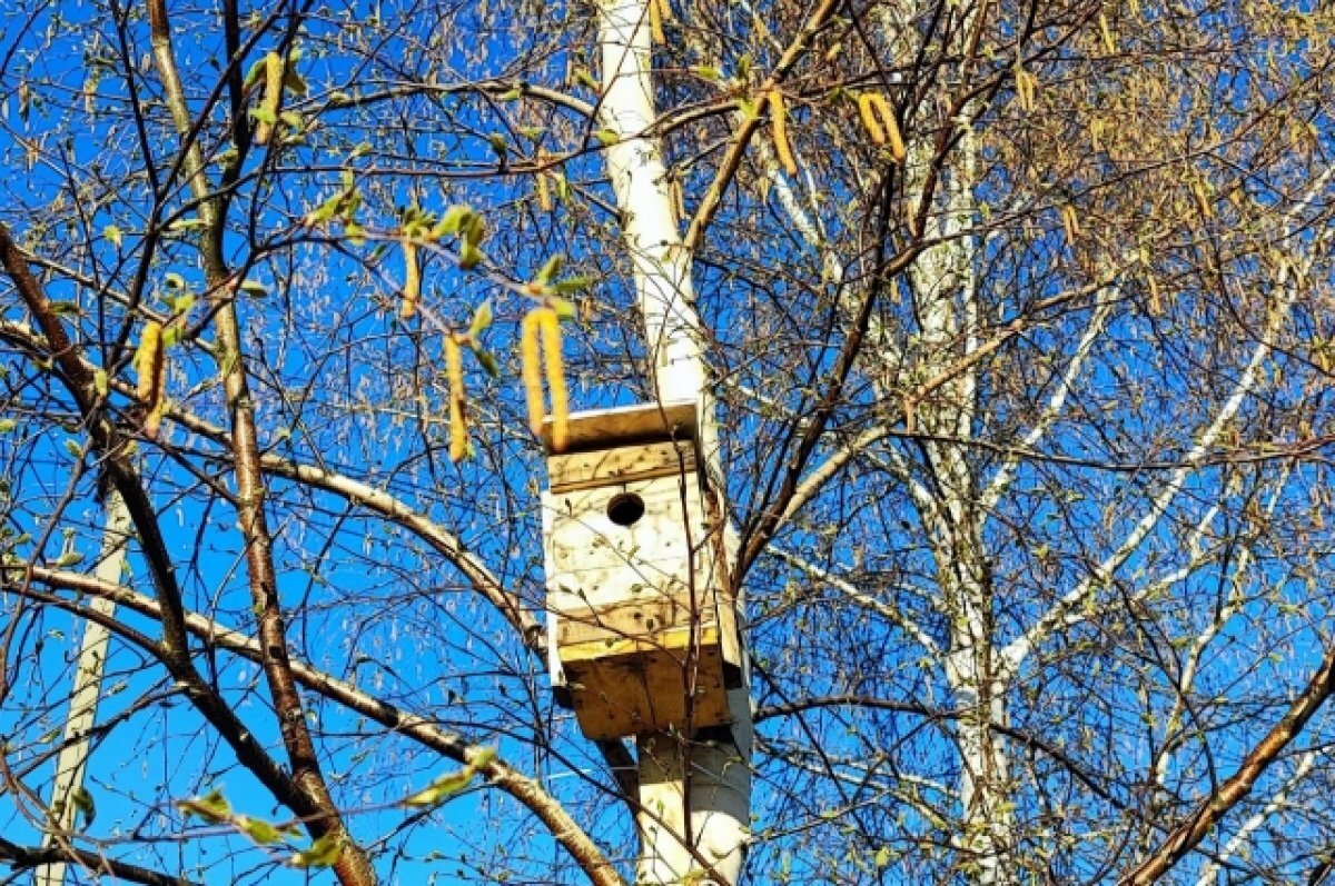    В Тверской области снег начнёт активно таять с 15 марта