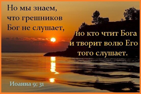 Из открытых источников Яндекса.