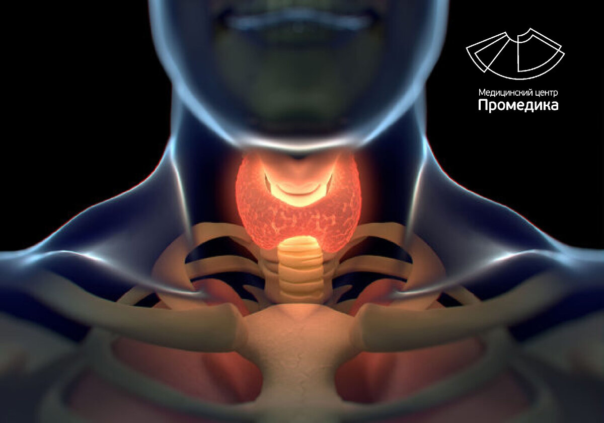 Гипотиреоз — симптомы, диагностика и лечение в клинике «Альфа-Центр Здоровья»