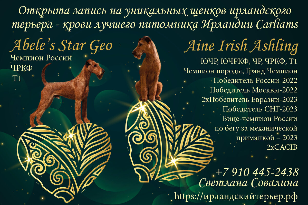 Небольшая реклама 