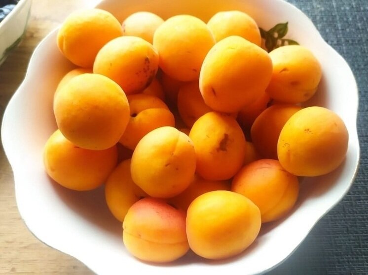     Фото: архив "МК в Калуге"