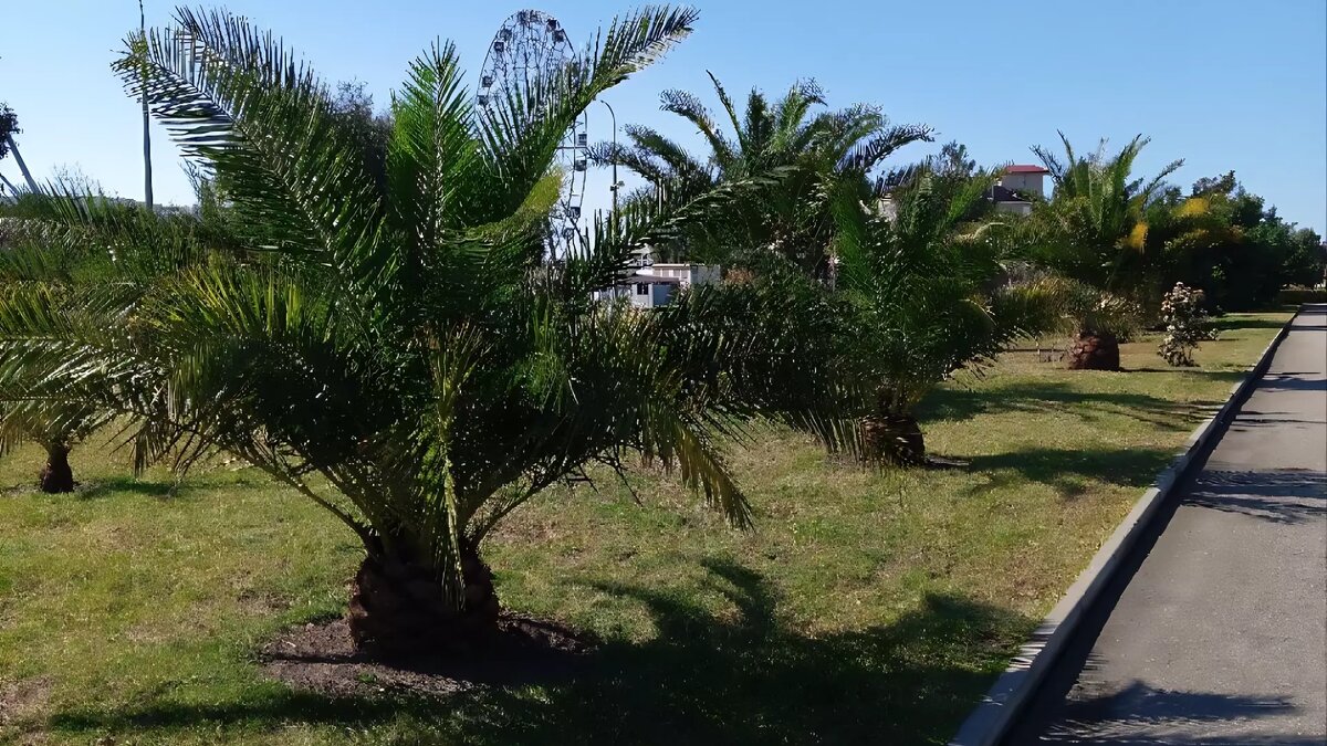     Во вторник стало известно, что по пути со школы домой несовершеннолетний мальчик упал с набережной в реку. В комментариях под видеороликом родители подняли тему безопасности детей на этом участке прогулочной зоны.