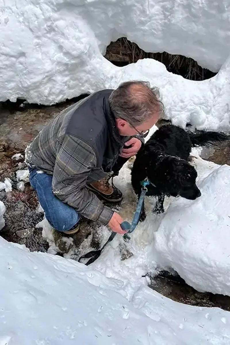    Summit Lost Pet Rescue