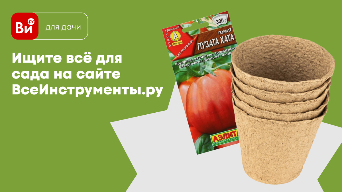 Как вырастить рассаду у себя дома: от выбора грунта до пересадки в почву |  ВсеИнструменты.ру – территория DIY | Дзен