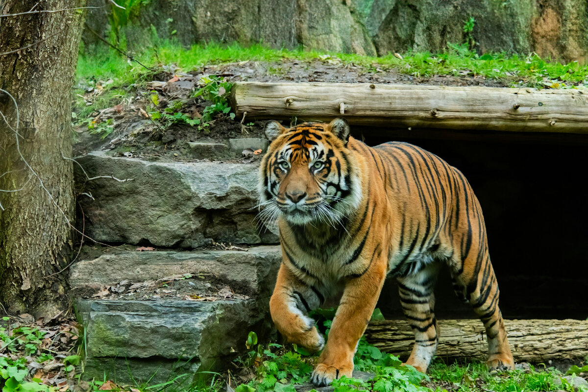 Картинка с бесплатного фотостока https://unsplash.com, автор Eddie Lau