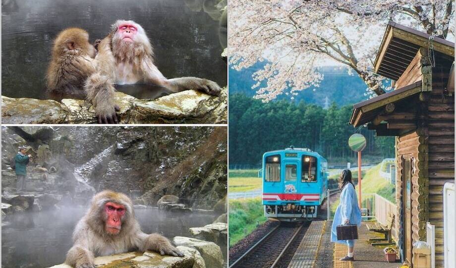 14 фотодоказательств, что Япония немного сумасшедшая страна