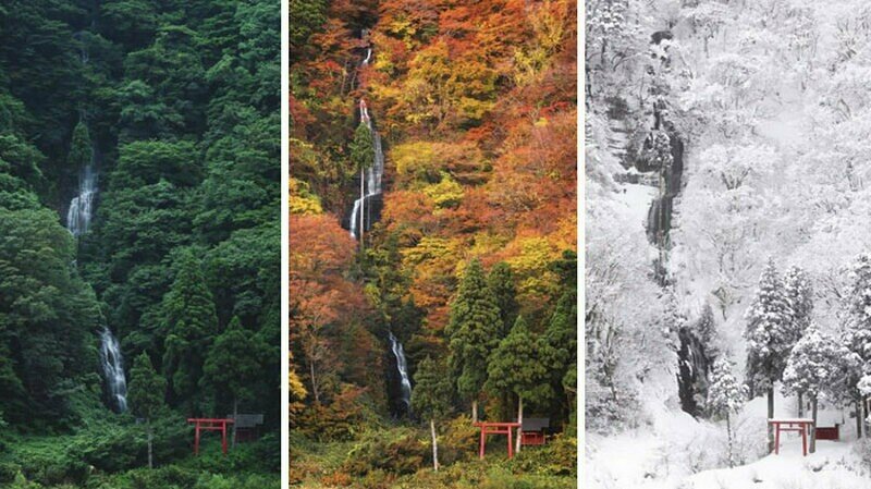    14 фотодоказательств, что Япония немного сумасшедшая страна