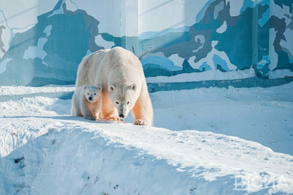    Фото: Андрей Сорокин, ЯСИА Анна Лебединская