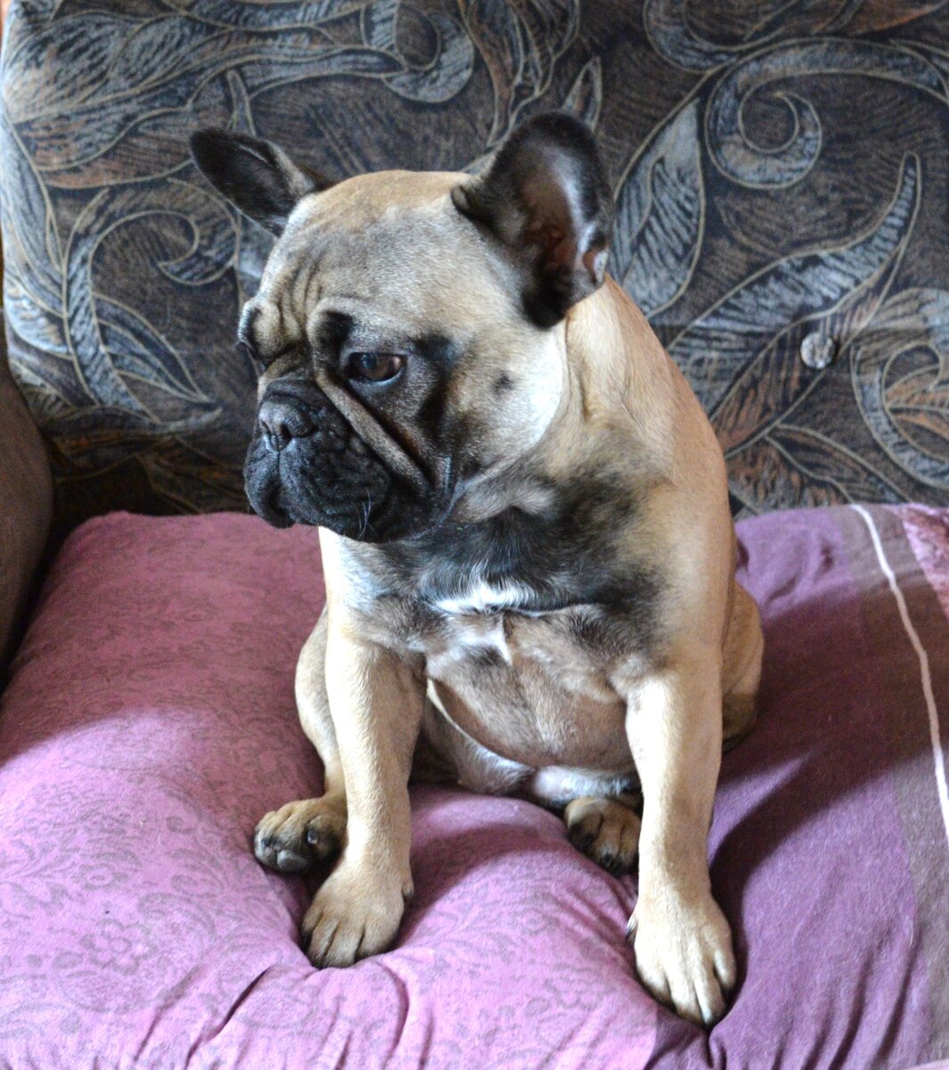 Ева растет совершенно иначе, чем ее мать